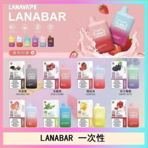 LANA BAR可充电一次性電子煙霧化5000口(3.0%)