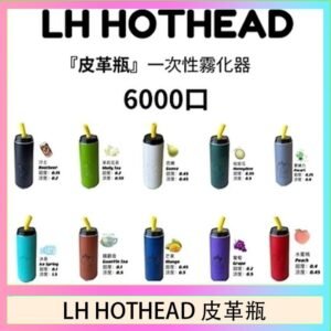 LH HOTHEAD皮革瓶電子煙可充電6000口一次性