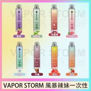 VAPOR STORM風暴辣妹一次性主機充電7500口（5%）